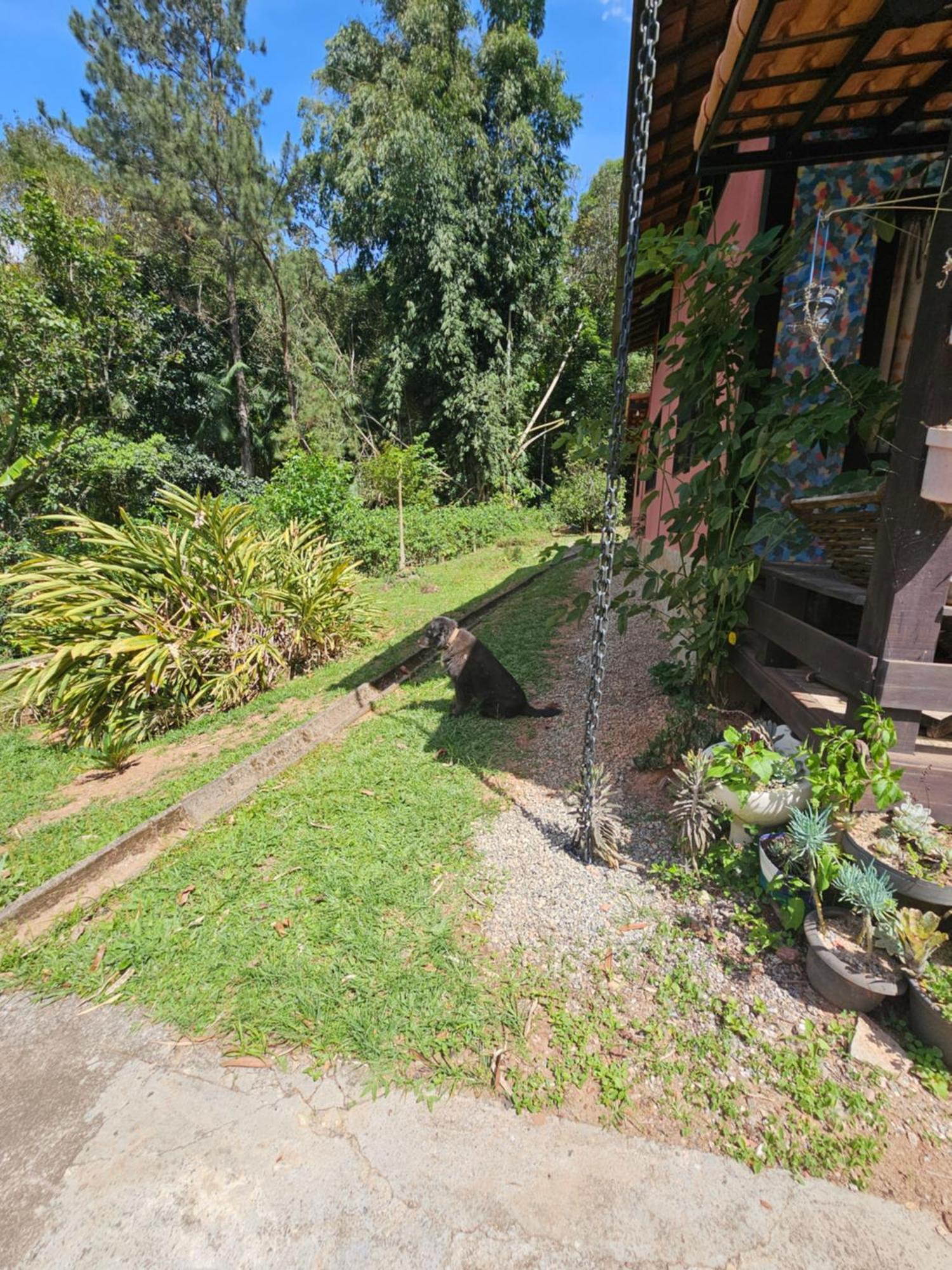Suítes Casinha do Alto da Bocaina Sao Pedro da Serra  Exterior foto
